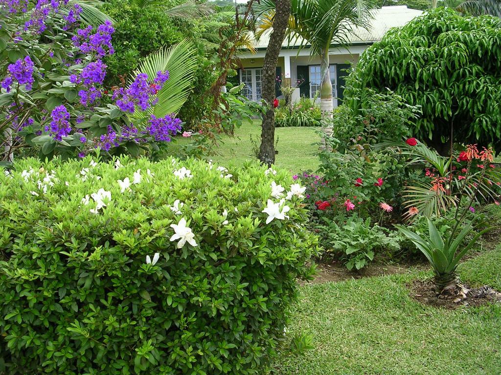 Chez Mamie Bed & Breakfast Les Avirons Luaran gambar